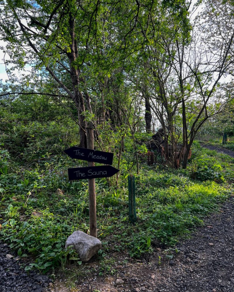 Hewn Yorkshire woodland walk