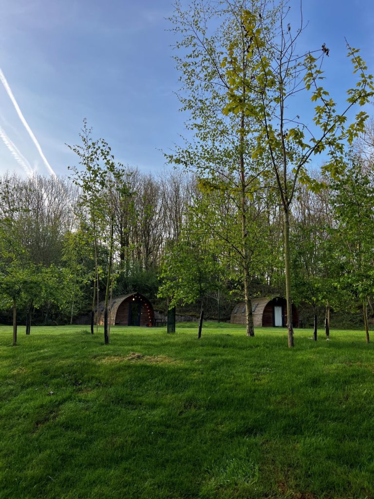 Hewn Yorkshire glamping