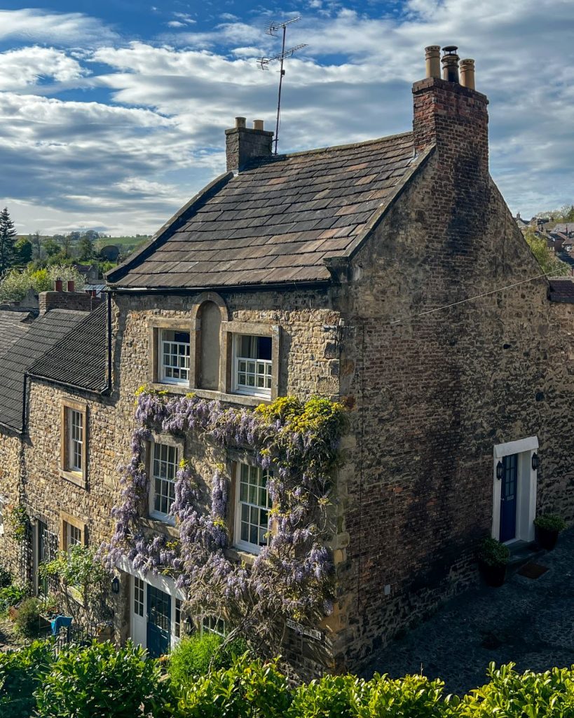 Wisteria Richmond North Yorkshire